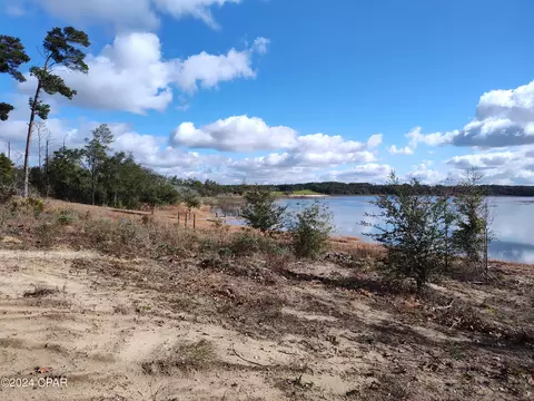 14724 Big Island Pond Rd, Southport, FL 32409