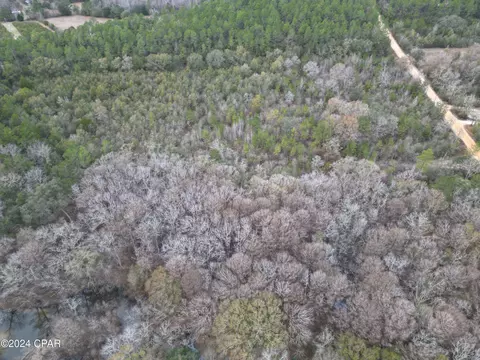 0000 Gritney Rd, Bonifay, FL 32425