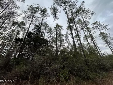 0000 Red Oak Ln, Bonifay, FL 32425