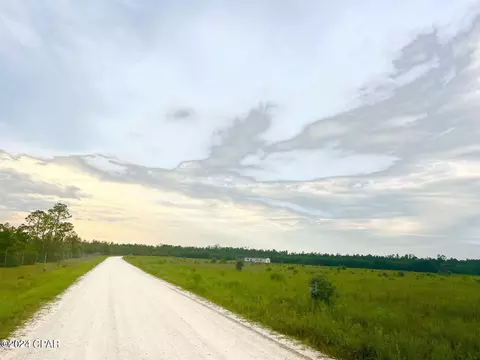 9950 NW Porter Grade Rd, Altha, FL 32421 photo 2