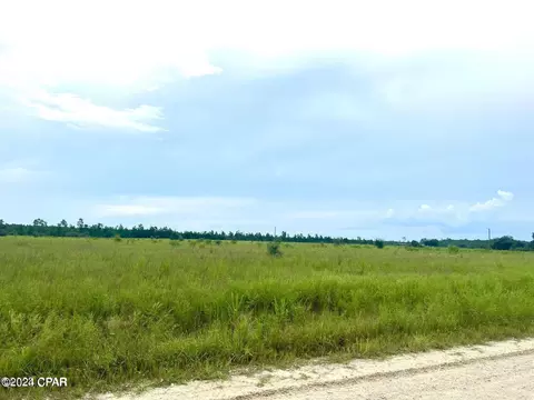 9950 NW Porter Grade Rd, Altha, FL 32421 photo 3