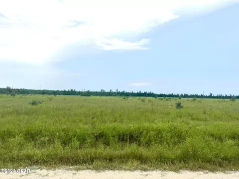 9950 NW Porter Grade Rd, Altha, FL 32421