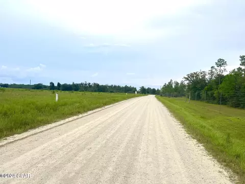9950 NW Porter Grade Rd, Altha, FL 32421 photo 4