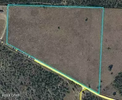 9950 NW Porter Grade Rd, Altha, FL 32421 photo 5