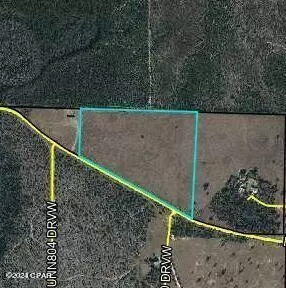 9950 NW Porter Grade Rd, Altha, FL 32421 photo 6