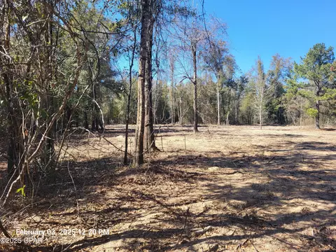 00 Tommy Tucker Rd #LOT 2, Altha, FL 32421