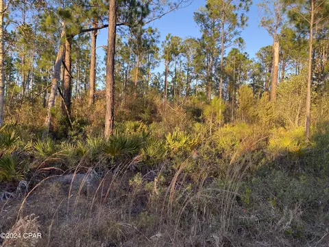0 Barnes Rd, Fountain, FL 32438