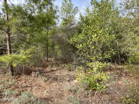 0 Canyon Ave, Alford, FL 32420