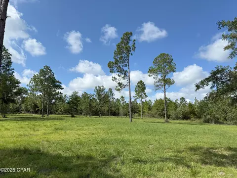 0 Lake Dr #PARCEL A, Marianna, FL 32448
