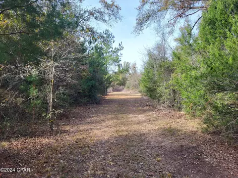00 Tommy Tucker Rd #LOT 4, Altha, FL 32421