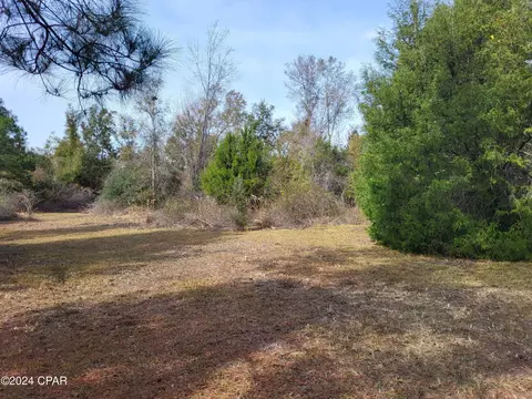 00 White Pond Cir #LOT 11, Altha, FL 32421