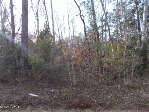 0 5th St, Marianna, FL 32446