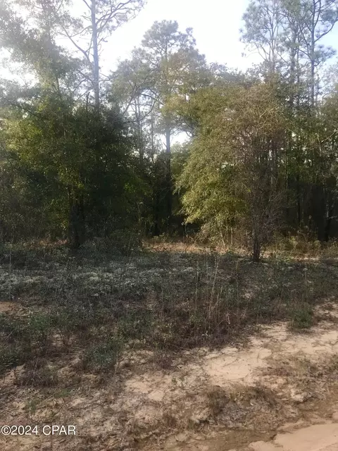 0 Dunford Cir #LOT 13, Chipley, FL 32428