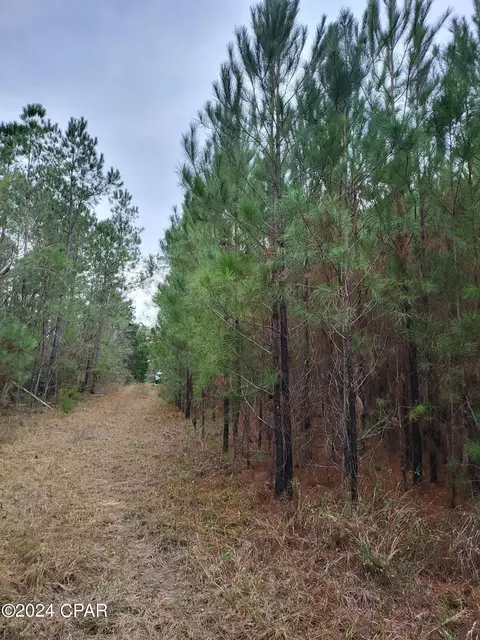 19265 SE Wrennie Moody Rd, Blountstown, FL 32424