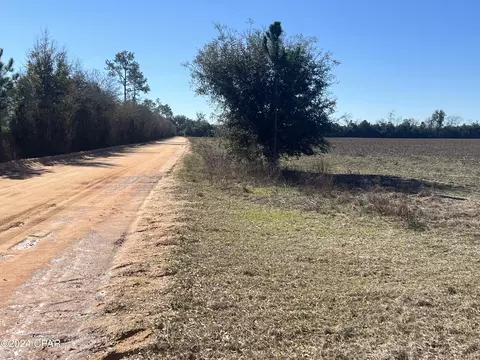 1993 N Iron Bridge Rd, Marianna, FL 32448