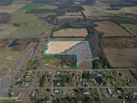 tbd NE Broad St, Altha, FL 32421 photo 9