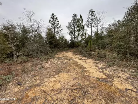 0000 Hero Rd, Chipley, FL 32428 photo 4
