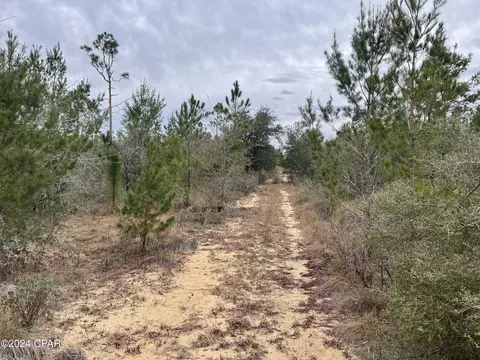 0000 Hero Rd, Chipley, FL 32428 photo 6