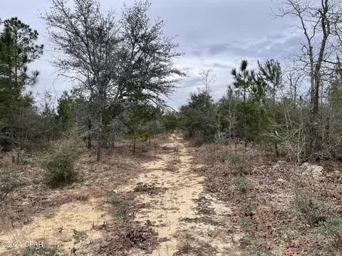 0000 Hero Rd, Chipley, FL 32428 photo 5