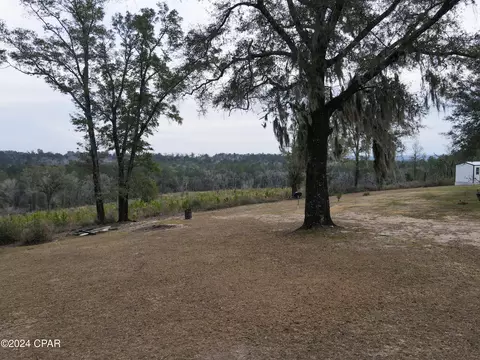 2259 Saint Joseph Rd, Chipley, FL 32428 photo 33