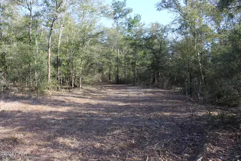 3491 Twin Pond Rd, Vernon, FL 32462