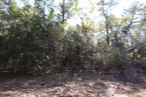 tbd Still Pond Rd, Ebro, FL 32437 photo 14