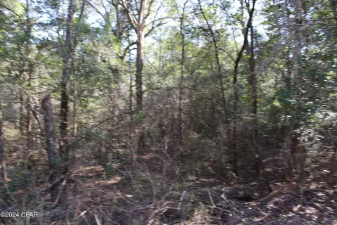 tbd Still Pond Rd, Ebro, FL 32437 photo 6