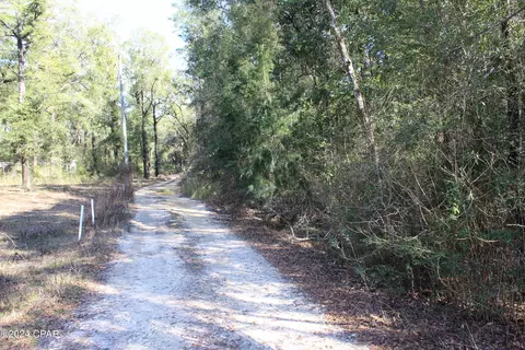 tbd Still Pond Rd, Ebro, FL 32437 photo 4