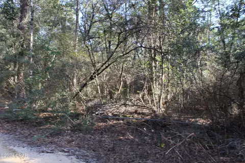 tbd Still Pond Rd, Ebro, FL 32437 photo 8
