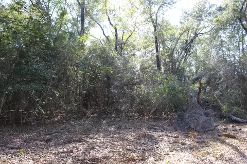 tbd Still Pond Rd, Ebro, FL 32437 photo 15