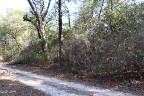 tbd Still Pond Rd, Ebro, FL 32437 photo 10