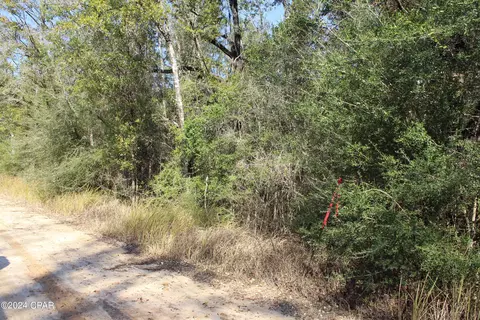 tbd Still Pond Rd, Ebro, FL 32437 photo 3