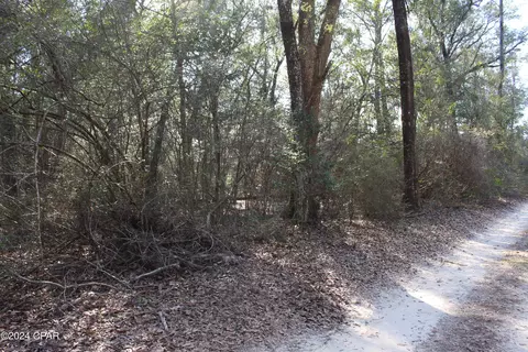tbd Still Pond Rd, Ebro, FL 32437 photo 11