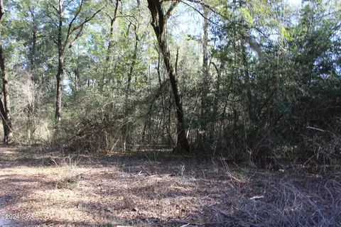 tbd Still Pond Rd, Ebro, FL 32437 photo 12