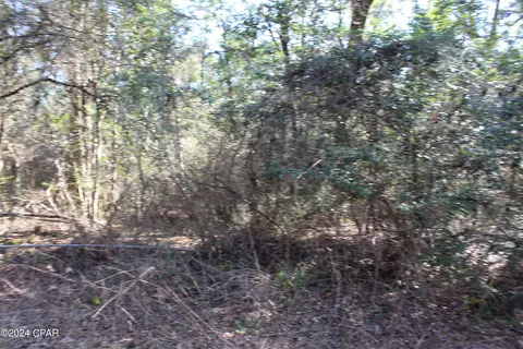 tbd Still Pond Rd, Ebro, FL 32437 photo 9