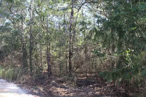 tbd Still Pond Rd, Ebro, FL 32437 photo 5