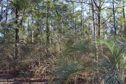 tbd Still Pond Rd, Ebro, FL 32437 photo 16