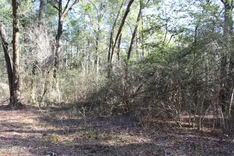tbd Still Pond Rd, Ebro, FL 32437 photo 13
