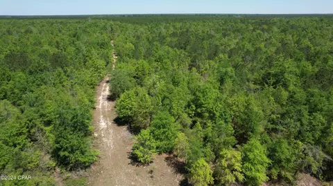 0 Quail Roost Dr, Alford, FL 32420
