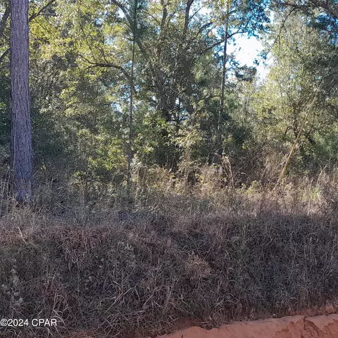 21214 NW State Road 73 #SR, Clarksville, FL 32430