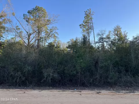 tbd Deer Run Cir, Alford, FL 32420