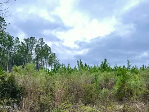 Tract 6411 E Open Creek Road, Chipley, FL 32428