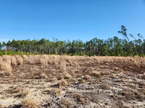 Nn Long Branch Ct, Bristol, FL 32321