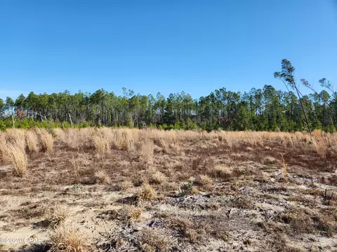 Nn Long Branch Ct, Bristol, FL 32321