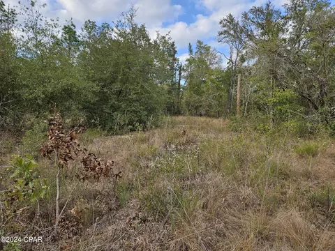 lot109 Leisure Lakes Dr, Chipley, FL 32428
