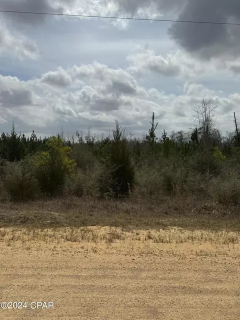 00 County Line Rd, Fountain, FL 32438