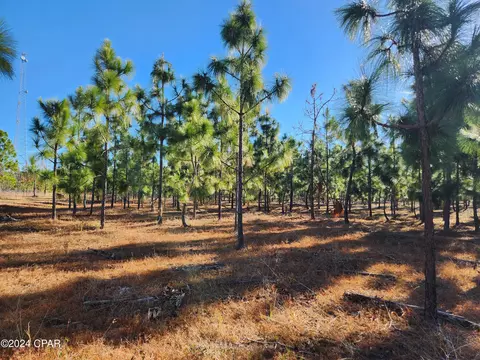 Nn Big Creek Road, Hosford, FL 32334