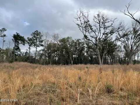 5 Acres Hwy 90, Cottondale, FL 32431