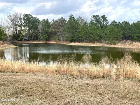 335 Acres R M Ward Rd, Ponce De Leon, FL 32455