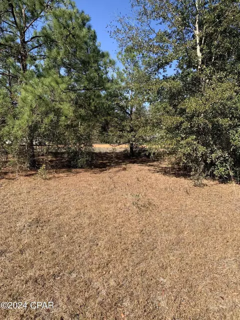 582 Campbell Cir, Alford, FL 32420